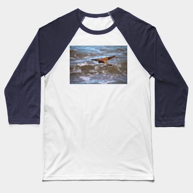 Kestrel over the sea Baseball T-Shirt by Violaman